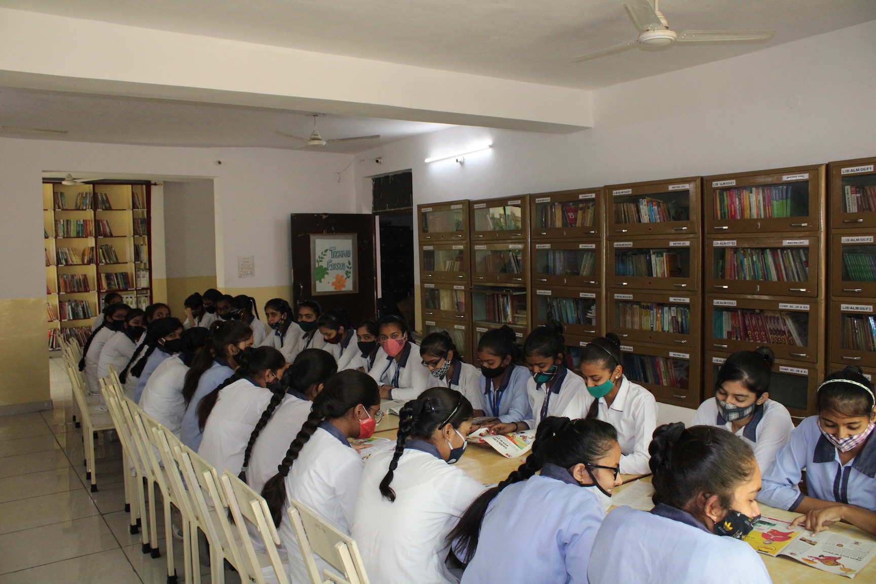 Library 